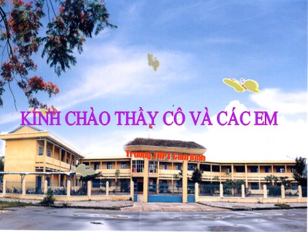 Bài giảng Giáo dục công dân Lớp 11 - Bài 4: Cạnh tranh trong sản xuất và lưu thông hàng hóa