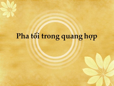 Bài giảng Sinh học Lớp 11 - Pha tối trong quang hợp