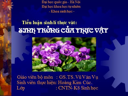 Bài Tiểu luận sinh lí thực vật: Sinh trưởng của thực vật - Hoàng Kim Cúc