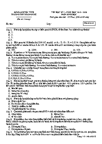 Đề kiểm tra Sinh học Lớp 12 - Học kỳ I - Năm học 2019-2020 - Trường THPT Hương Khê - Mã đề 018 (Kèm đáp án)