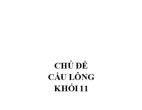 Giáo án Giáo dục thể chất Lớp 11 - Chủ đề: Cầu lông khối 11