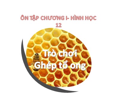 Bài giảng Hình học 12 - Tiết 8: Ôn tập chương I - Năm học 2019-2020