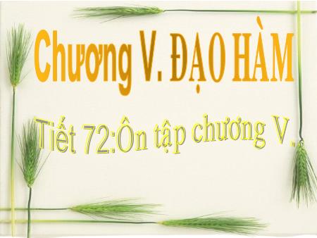 Bài giảng Toán Lớp 11 - Tiết 72: Ôn tập Chương V Đạo hàm