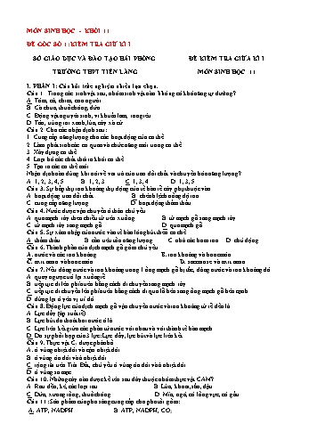 2 Đề kiểm tra giữa học kì I Sinh học 11 - Trường THPT Tiên Lãng (Có đáp án)