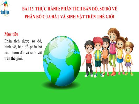 Bài giảng Địa lí 10 (Cánh diều) - Bài 13: Thực hành Phân tích bản đồ, sơ đồ về phân bố của đất và sinh vật trên thế giới