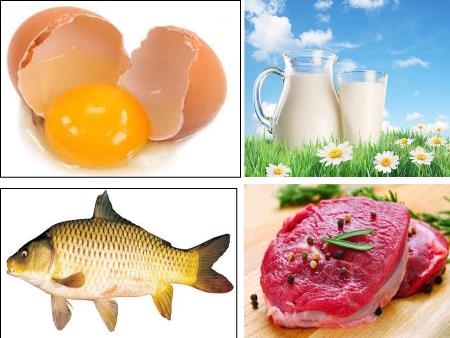 Bài giảng Hóa học 12 - Bài 11: Peptit và protein