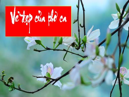 Bài giảng Ngữ văn 10 (Kết nối tri thức) - Bài 2: Vẻ đẹp của thơ ca