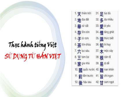 Bài giảng Ngữ văn 10 (Thực hành Tiếng Việt) Sách Kết nối tri thức - Bài: Sử dụng từ Hán Việt