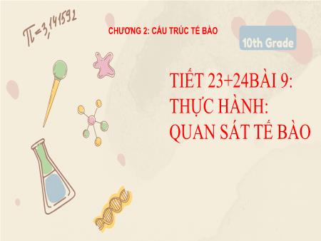 Bài giảng Sinh học 10 (Kết nối tri thức) - Chương 2: Cấu trúc tế bào - Tiết 23+24, Bài 9: Thực hành Quan sát tế bào