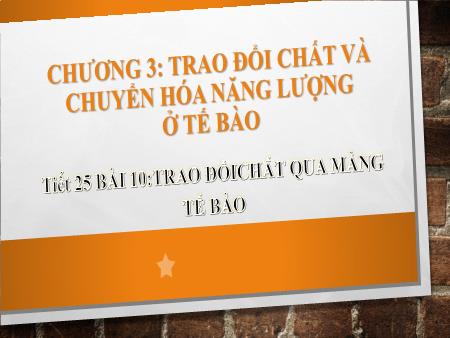 Bài giảng Sinh học 10 (Kết nối tri thức) - Tiết 25, Bài 10: Trao đổi chất qua màng tế bào