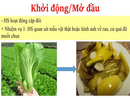 Bài giảng Sinh học 10 (Kết nối tri thức) - Tiết 28, Bài 11: Thực hành thí nghiệm co và phản co nguyên sinh