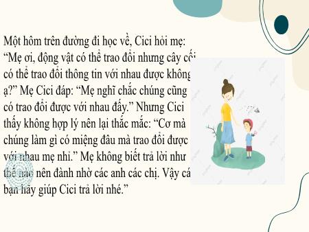 Bài giảng Sinh học 10 (Kết nối tri thức) - Tiết 29, Bài 12: Truyền tin tế bào