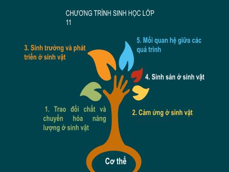 Bài giảng Sinh học 11 (Kết nối tri thức) - Phần 3: Sinh học cơ thể - Chương 1, Bài 1: Khái quát về trao đổi chất và chuyển hóa năng lượng