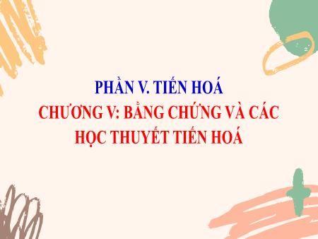 Bài giảng Sinh học 12 (Kết nối tri thức) - Phần V: Tiến Hóa - Chương V, Bài 19: Các bằng chứng tiến hóa