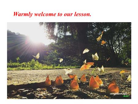 Bài giảng Tiếng Anh 11 (Global Success) - Unit 10: Ecosystem (Lesson 8)