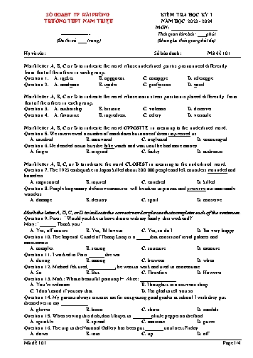 Đề kiểm tra học kì I Tiếng Anh 12 - Mã đề 101 - Trường THPT Nam Triệu (Có đáp án)