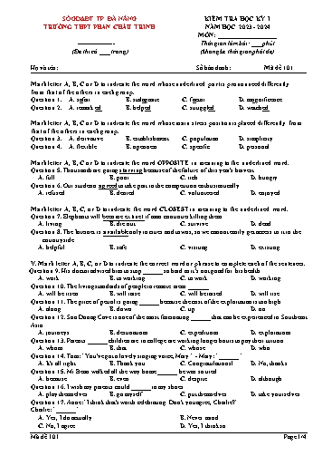 Đề kiểm tra môn Tiếng Anh Lớp 12 học kì I - Mã đề 101 - Năm học 2023-2024 - Trường THPT Phan Châu Trinh (Có đáp án)