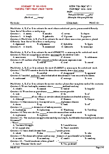 Đề kiểm tra môn Tiếng Anh Lớp 12 - Mã 101 - Năm học 2023-2024 - Trường THPT Phan Châu Trinh (Có đáp án)