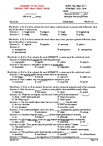 Đề kiểm tra Tiếng Anh Lớp 12 - Học kì I - Mã 101 - Năm học 2023-2024 - Trường THPT Phan Châu Trinh (Có đáp án)