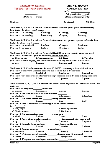 Đề kiểm tra Tiếng Anh Lớp 12 học kì I - Mã đề 101 - Năm học 2023-2024 - Sở GD&ĐT Đà Nẵng
