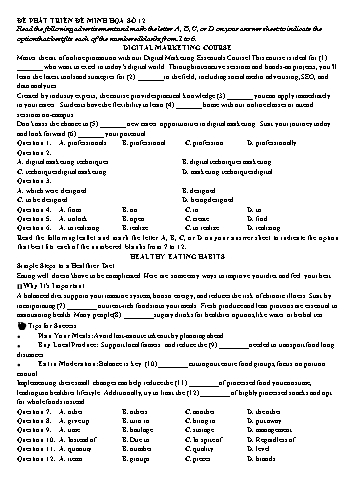 Đề minh họa tốt nghiệp THPT Tiếng Anh - Đề 12 (Có đáp án)
